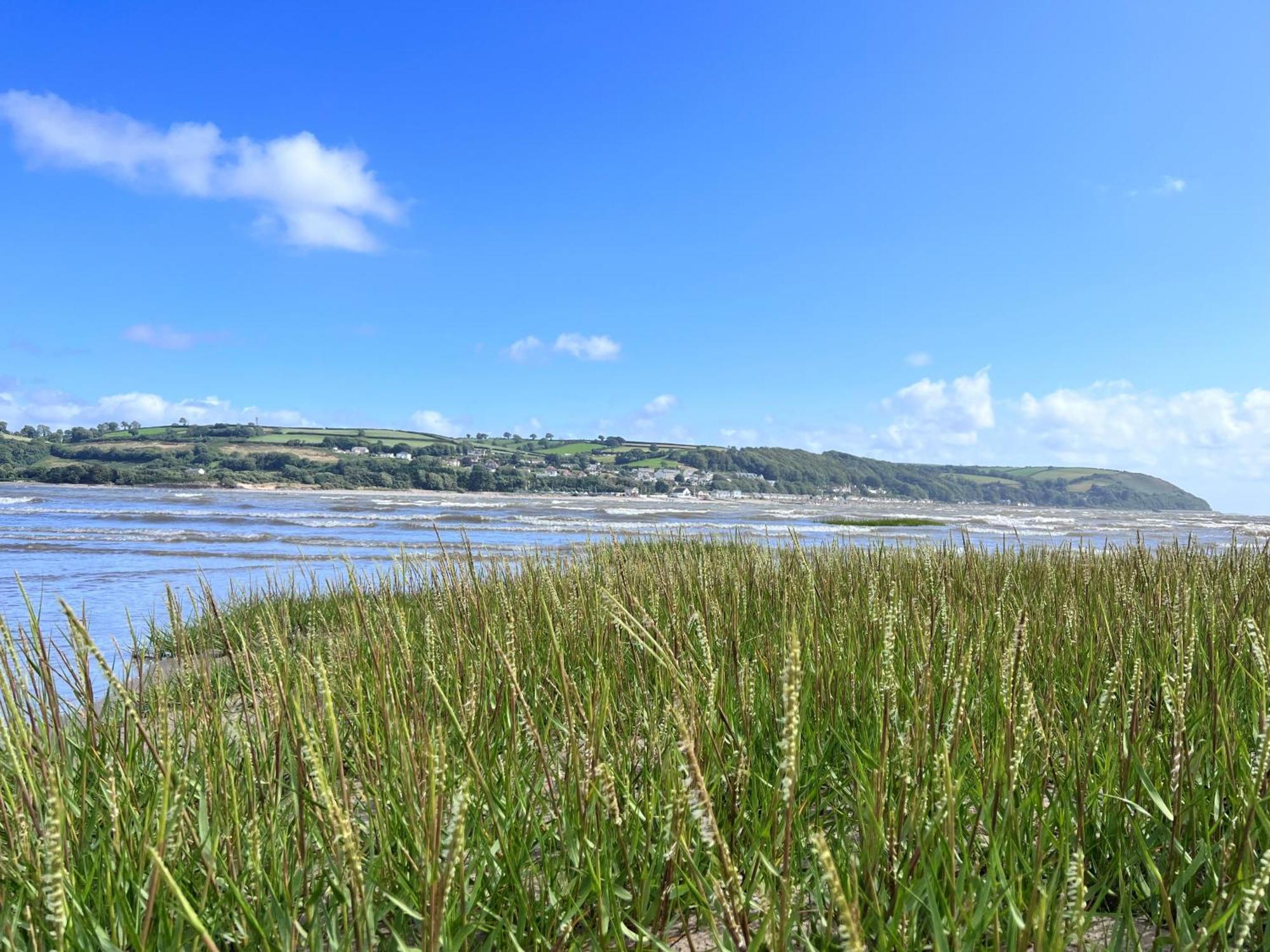 Luxury 2-Bed Barn Conversion In Llansteffan Carmarthen Eksteriør bilde